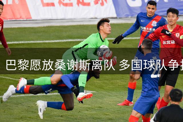 巴黎愿放桑谢斯离队 多国球队争抢葡萄牙中场